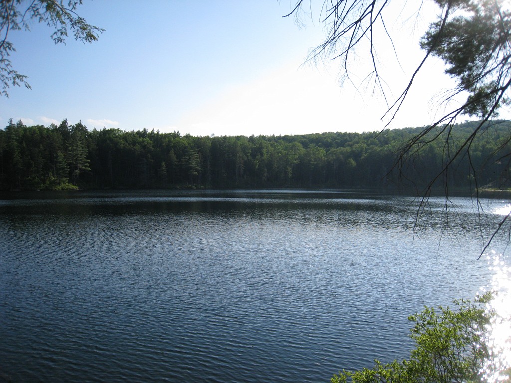 Elwell Trail NH 2010 290.jpg - The Elwell Trail North of Bristol NH, runs along Newfound Lake. The trail goes to Little and Big Sugarloaf mountains. Supposedly it also connects to Mt Cardigan. May 2010.